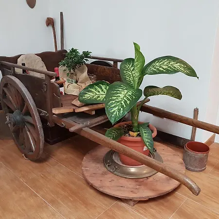Sa Domu De Maria * Gergei